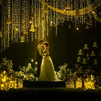 New Arrival LED Lamp Curtain light Home Holiday Christmas Decoration Led String Fairy Garland Wedding Party Novelty night Lights
New Arrival LED Lamp Curtain light Home Holiday Christmas Decoration Led String Fairy Garland Wedding Party Novelty night Lights