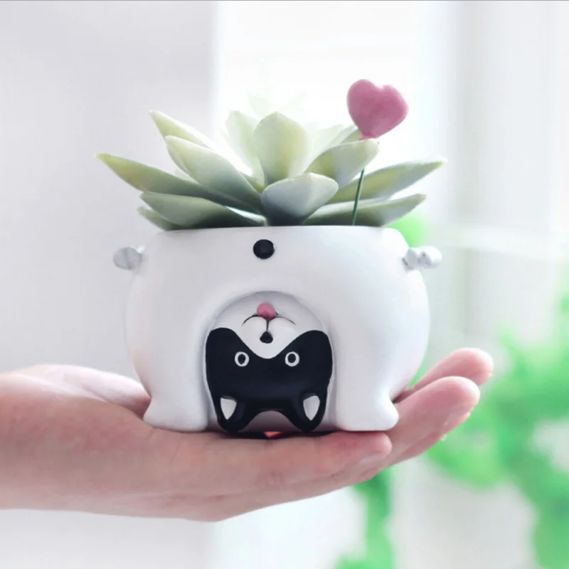 Micro Natural Resin Flower Pot Nverted Animal Design Meat Plant Flower Pot Garden Home Office Deco
Micro Natural Resin Flower Pot Nverted Animal Design Meat Plant Flower Pot Garden Home Office Deco