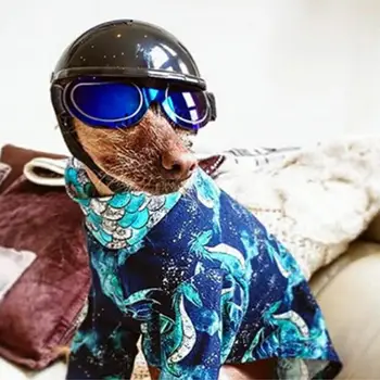 Funny Pet Motorcycle Helmet Dog Cat Plastic Headdress Puppy Hat Kitten Fashion Cap Pet Accessories Birthday Party Costumes
Funny Pet Motorcycle Helmet Dog Cat Plastic Headdress Puppy Hat Kitten Fashion Cap Pet Accessories Birthday Party Costumes