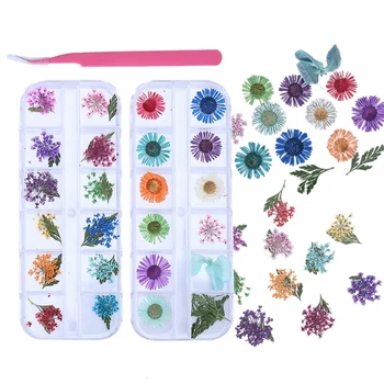 24 Patterns 3D Dry Flowers Stickers Real Dried Flower Nail Art Decoration Tips DIY Manicure Tools with Tweezer and Box
24 Patterns 3D Dry Flowers Stickers Real Dried Flower Nail Art Decoration Tips DIY Manicure Tools with Tweezer and Box