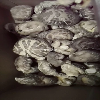 Ngryise 300Gram A Set shiitake mushroom huagu
Ngryise 300Gram A Set shiitake mushroom huagu