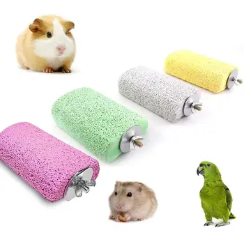 Pet Bird Hamster Calcium Molar Stone Cage Stand Perch Platform Harmless Chew Toy Pet Supplies
Pet Bird Hamster Calcium Molar Stone Cage Stand Perch Platform Harmless Chew Toy Pet Supplies