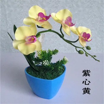 Butterfly Orchid Imitation Flowers Decoration Office Desk Surface Panel Mini Artificial Plant Potted Plant Processing
Butterfly Orchid Imitation Flowers Decoration Office Desk Surface Panel Mini Artificial Plant Potted Plant Processing