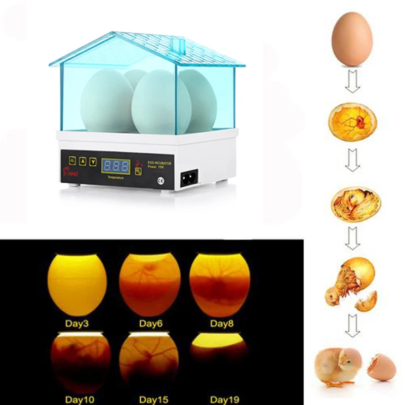 4 шт. инкубатор для яиц Полностью автоматический поворот Брудер курица