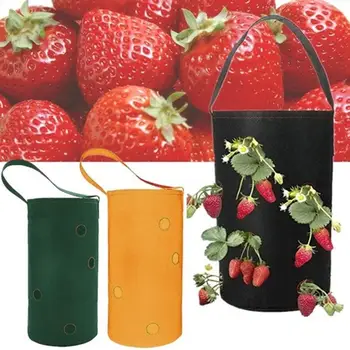 Non-Woven Flower Planting Bag Hanging Sweet Potato Creative Strawberry Planting Bag Multi-Port Container Bag Vegetable
Non-Woven Flower Planting Bag Hanging Sweet Potato Creative Strawberry Planting Bag Multi-Port Container Bag Vegetable