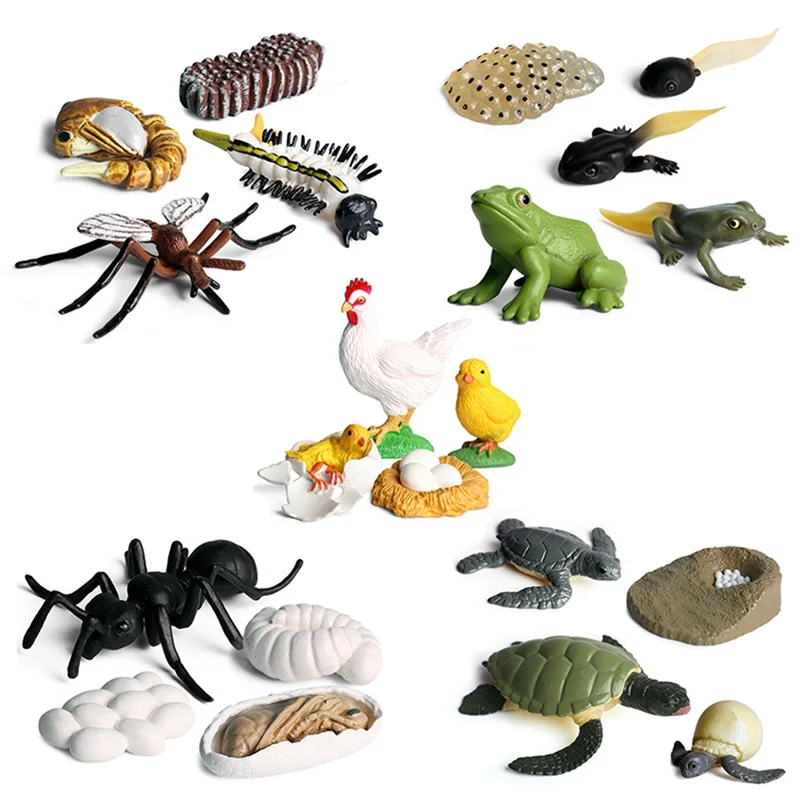 Simulation Animals Growth Cycle Model Simulation Hen Ant Mosquito Action Figures Figurine Lovely Baby Educational Kids Toy
Simulation Animals Growth Cycle Model Simulation Hen Ant Mosquito Action Figures Figurine Lovely Baby Educational Kids Toy