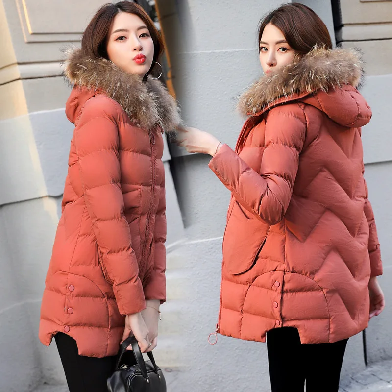 Cotton-padded Clothes/Cotton Coat Comfortable Simple Fashion City Youth Popularity Elegant Cool Casual Slim Fit Slimming Solid C
Cotton-padded Clothes/Cotton Coat Comfortable Simple Fashion City Youth Popularity Elegant Cool Casual Slim Fit Slimming Solid C