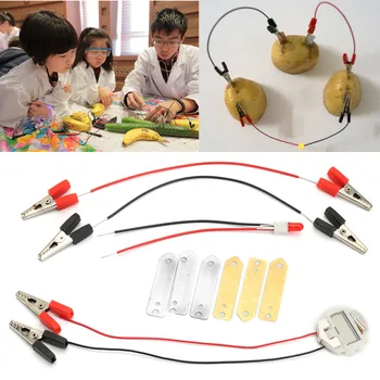 1 Set Children Bio Energy Science Kit Potato Fruit Supply Electricity Experiments Kids Student Learining Science Educational Toy
1 Set Children Bio Energy Science Kit Potato Fruit Supply Electricity Experiments Kids Student Learining Science Educational Toy