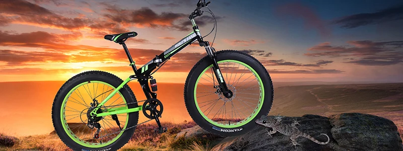 wolf's fang Bicycle folding mountain bike 21 speed Aluminum alloy 26 inches Fat Bike road bikes Snow Bicycle Disc brakes Bikes