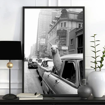 Funny Canvas Painting Alpaca Llama in a New York City Taxi Animal Prints ans Posters Wall Art Pictures for Kid Bedroom Dormitory
Funny Canvas Painting Alpaca Llama in a New York City Taxi Animal Prints ans Posters Wall Art Pictures for Kid Bedroom Dormitory