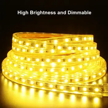 110V Flexible LED Strip Light SMD 5050 Waterproof Home Outdoor Decorative Lamp
110V Flexible LED Strip Light SMD 5050 Waterproof Home Outdoor Decorative Lamp