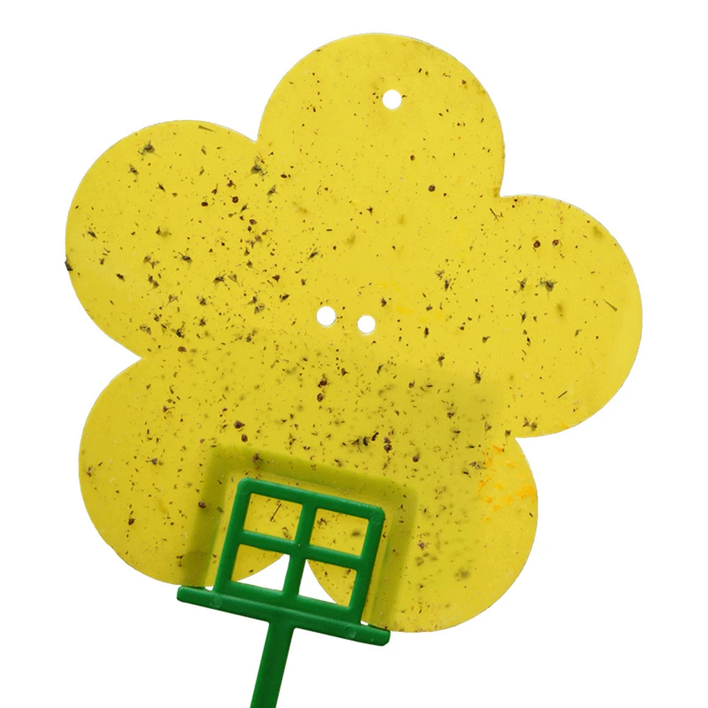 12pcs Two Sided Glue Trap Catcher Sticky Boards Sticky Traps Eliminate Flies Insect Bug Garden Glue Paper Board Plant Flycatcher
12pcs Two Sided Glue Trap Catcher Sticky Boards Sticky Traps Eliminate Flies Insect Bug Garden Glue Paper Board Plant Flycatcher