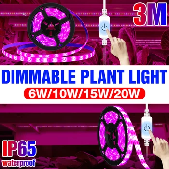 Plant Grow Lights 1M 2M 3M Waterproof Phyto Lamp Touch Sensor Switch LED Plants Tape For Garden Greenhouse Seed Flower Cultivate
Plant Grow Lights 1M 2M 3M Waterproof Phyto Lamp Touch Sensor Switch LED Plants Tape For Garden Greenhouse Seed Flower Cultivate