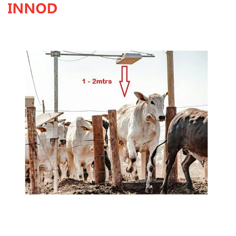 EU 865-868mhz multi-tag reading 4 ports long range uhf rfid reader timing chip impinj 1-25m reader for cattle animal tracking
EU 865-868mhz multi-tag reading 4 ports long range uhf rfid reader timing chip impinj 1-25m reader for cattle animal tracking