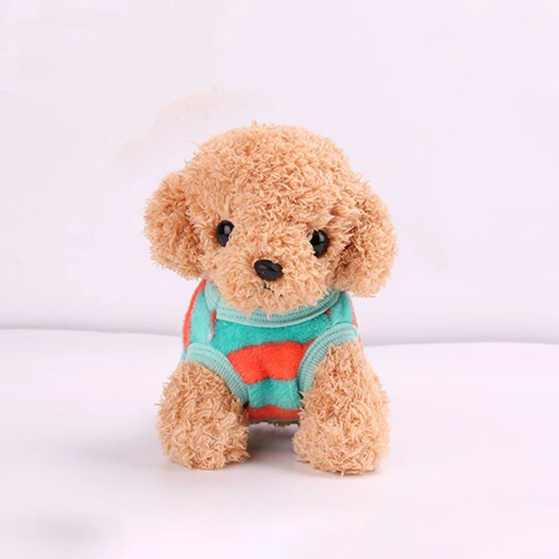 RC0123C (1)