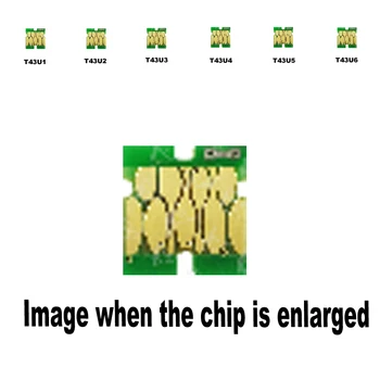 8pack 3B+1C+1M+1Y+1LC+1LM T43U1 T43U2 T43U3 T43U4 T43U5 T43U6 for Epson Compatible ink cartridge disposable chip SL-D800
8pack 3B+1C+1M+1Y+1LC+1LM T43U1 T43U2 T43U3 T43U4 T43U5 T43U6 for Epson Compatible ink cartridge disposable chip SL-D800