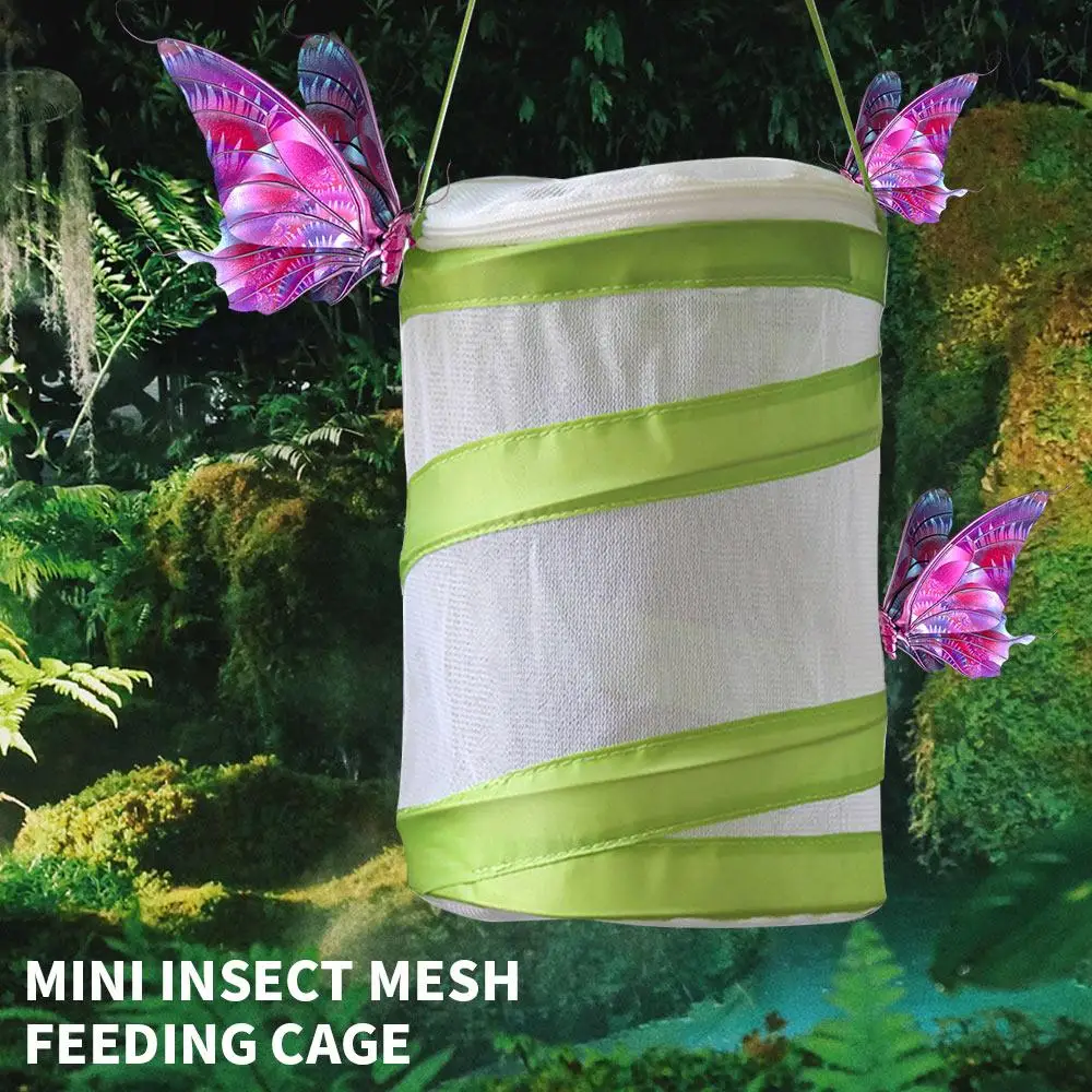 Insect Habitat Cage Cage Pop-Up Mesh Green 14*18cm Tool Outdoor Sport Camp Mini Mesh Butterfly House Kids Extendable Butterfly
Insect Habitat Cage Cage Pop-Up Mesh Green 14*18cm Tool Outdoor Sport Camp Mini Mesh Butterfly House Kids Extendable Butterfly