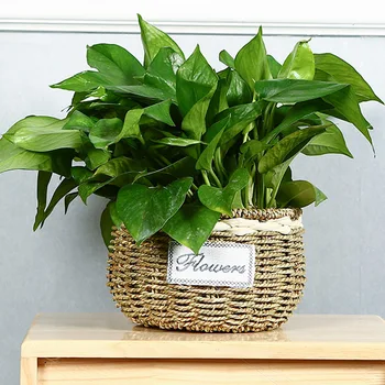 Flower Pot Sundries Basket Table Kitchen Small Plant Fiber Large Volume Space Saver Office Extendable Rack Household Supplies
Flower Pot Sundries Basket Table Kitchen Small Plant Fiber Large Volume Space Saver Office Extendable Rack Household Supplies