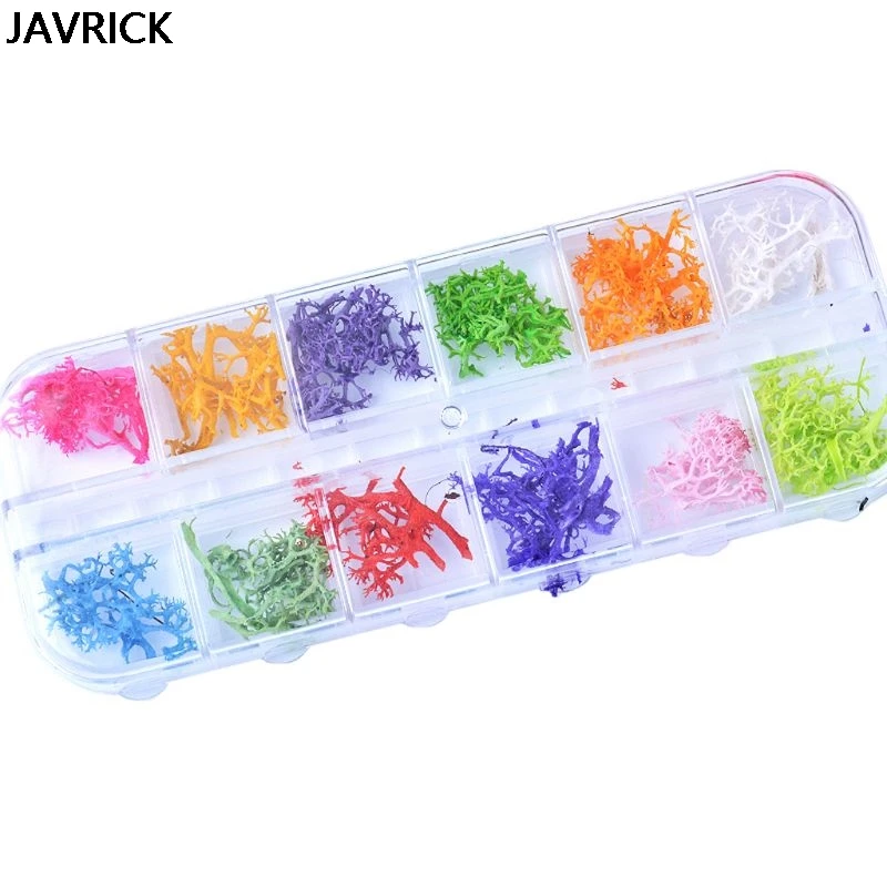 12 Colors Natural Coral Tree Pressed Dried Flower Nail Art Resin Craft Tool DIY Pendant Accessories Jewelry Making Tool
12 Colors Natural Coral Tree Pressed Dried Flower Nail Art Resin Craft Tool DIY Pendant Accessories Jewelry Making Tool