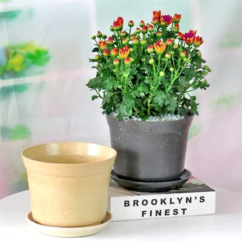 Home Garden Stock Degradable flower pots decorative Circle Plant Fiber Flowerpot Large Size Flowerpot Not with Tray
Home Garden Stock Degradable flower pots decorative Circle Plant Fiber Flowerpot Large Size Flowerpot Not with Tray