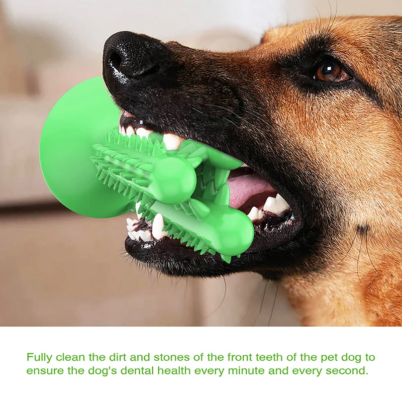 dog toothbrush toy