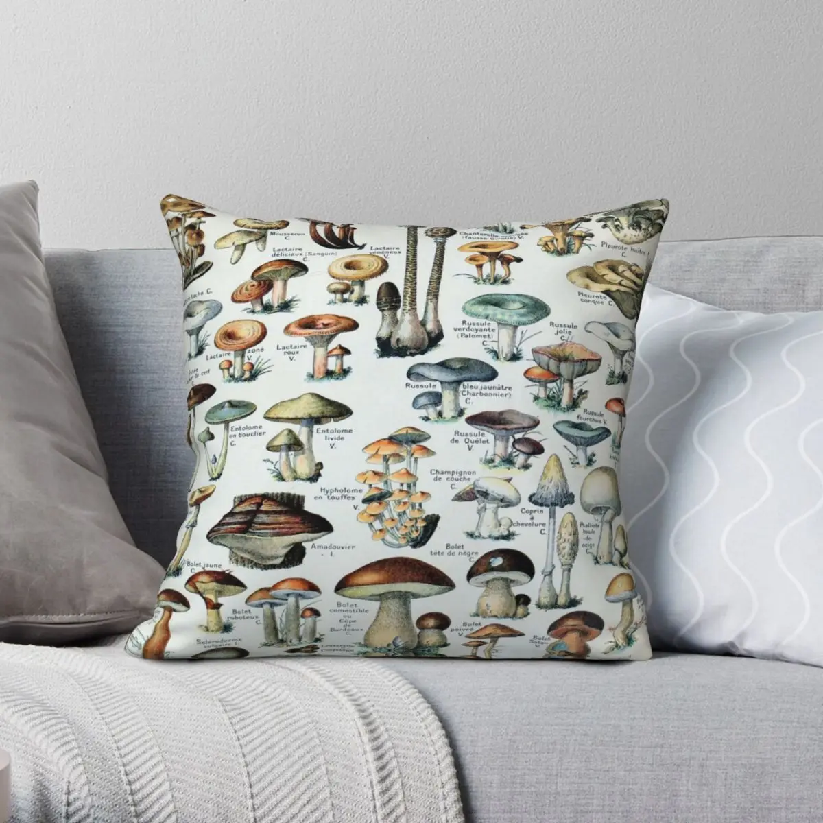 Vintage Edible Mushroom Chart Square Pillowcase Polyester Linen Velvet Zip Decor Sofa Cushion Cover
Vintage Edible Mushroom Chart Square Pillowcase Polyester Linen Velvet Zip Decor Sofa Cushion Cover