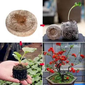 30mm 20pcs Nursery Block Nutrition Block Compression Peat Block Magic Soil Medium With Packaged Nursery Block Garden Supplies
30mm 20pcs Nursery Block Nutrition Block Compression Peat Block Magic Soil Medium With Packaged Nursery Block Garden Supplies