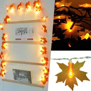 General Fairy Lights Decoration Warm White Beautiful Autumn Fall Light String Creative Home Garden Outdoor Backyard EU Plug
General Fairy Lights Decoration Warm White Beautiful Autumn Fall Light String Creative Home Garden Outdoor Backyard EU Plug