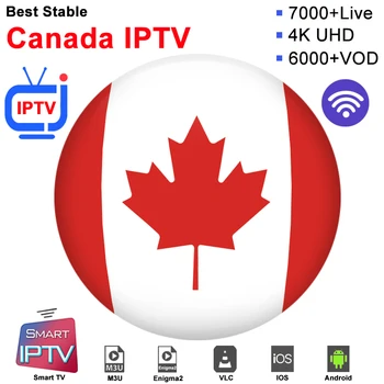 Canada iptv subscription m3u abonnement iptv French USA Turkey Spain UK Android ip tv Box Enigma2 m3u Smart TV PC
Canada iptv subscription m3u abonnement iptv French USA Turkey Spain UK Android ip tv Box Enigma2 m3u Smart TV PC