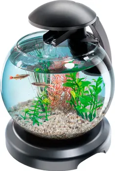 Aquarium TETRA TETRA CASCADE GLOBE round with LED lamp, black color, 6.8-liter
Aquarium TETRA TETRA CASCADE GLOBE round with LED lamp, black color, 6.8-liter