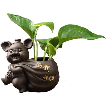 Hydroponics Vase Botany Basin Organ Fresh Vase Insert Vase Water Culture Container Small Ornament Home Furnishing 
Hydroponics Vase Botany Basin Organ Fresh Vase Insert Vase Water Culture Container Small Ornament Home Furnishing