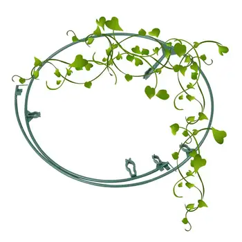 3pcs Plant Fixing Rack Plant Climbing Frame Support Potted Plants Climbing Grow Fixing Shelf Rack For Home Garden Flower (Green)
3pcs Plant Fixing Rack Plant Climbing Frame Support Potted Plants Climbing Grow Fixing Shelf Rack For Home Garden Flower (Green)