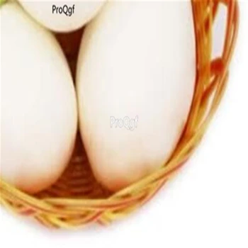 Prodgf 8000Pcs A Set Eggplant 
Prodgf 8000Pcs A Set Eggplant