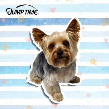 Jump Time 13cm x 9.3cm Creative Yorkshire Terrier Lovely Pet Dog Car Sticker Bumper Car Window Decor Personalized Car Styling
Jump Time 13cm x 9.3cm Creative Yorkshire Terrier Lovely Pet Dog Car Sticker Bumper Car Window Decor Personalized Car Styling