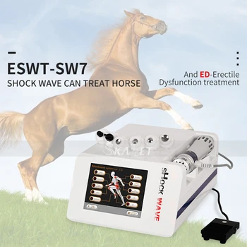 Professional ESWT Extracorporeal Shock Wave ED Erectile Dysfunction Therapy & Treat Joints Pain Equipment with CE Approval
Professional ESWT Extracorporeal Shock Wave ED Erectile Dysfunction Therapy & Treat Joints Pain Equipment with CE Approval