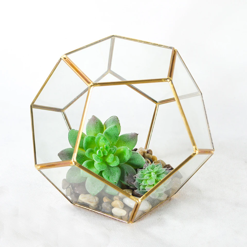 Geometric Terrarium Container Bonsai Flower Succulent Pot Polyhedron Glass Orchid Moss Fern Planter Garden Planting Black Iron
Geometric Terrarium Container Bonsai Flower Succulent Pot Polyhedron Glass Orchid Moss Fern Planter Garden Planting Black Iron