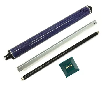 1xOPC Drum+DC250 Cleaning Blade+PCR Charge Rolle+Color Drum Chip for Xerox 240 242 250 252 DC 260 WorkCentre 7655 7665 7675
1xOPC Drum+DC250 Cleaning Blade+PCR Charge Rolle+Color Drum Chip for Xerox 240 242 250 252 DC 260 WorkCentre 7655 7665 7675