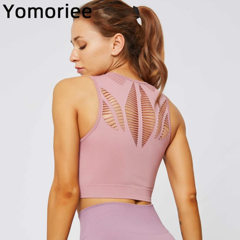 Gym Women Yoga Bra Sport Workout Running Training Tank Breathable Dry fit Sexy Mesh Solid Color Movement Underwear Yomoriee
Gym Women Yoga Bra Sport Workout Running Training Tank Breathable Dry fit Sexy Mesh Solid Color Movement Underwear Yomoriee