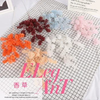 Tianjin Artificial Flower Silk Flower Vanilla Wedding Wedding Decorative Plant Home Decoration
Tianjin Artificial Flower Silk Flower Vanilla Wedding Wedding Decorative Plant Home Decoration