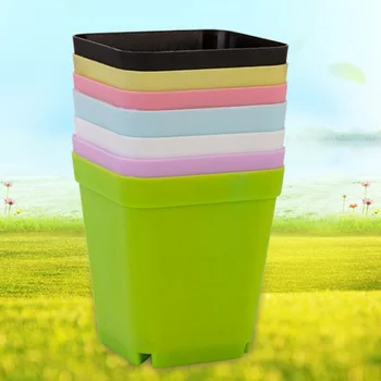 12pcs Flower Pots Succulents Plastic Decorative Mini Vase Gift Flower Holder Pot for Home Plant Desktop
12pcs Flower Pots Succulents Plastic Decorative Mini Vase Gift Flower Holder Pot for Home Plant Desktop