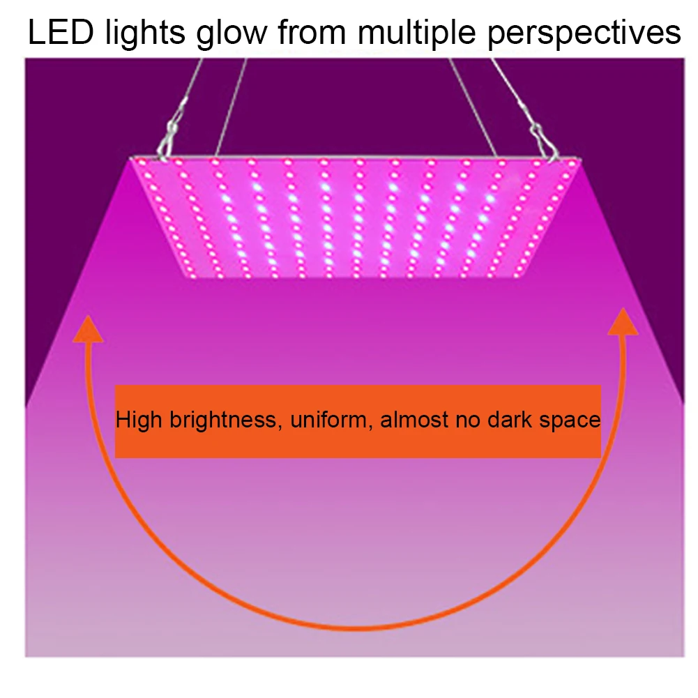 Grow Light Plant Growing Bulbs 25W Plug Hanging Lamps with Red Full Spectrum for Greenhouse Indoor Plants Vegetables
Grow Light Plant Growing Bulbs 25W Plug Hanging Lamps with Red Full Spectrum for Greenhouse Indoor Plants Vegetables