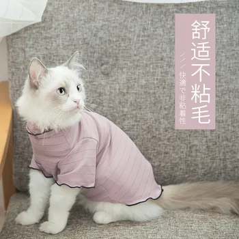 Kitten's Clothes Thin Cloth Doll Two Legged Clothes English Short Hairless Kitten Cat Pet Garfield Blue Cat
Kitten's Clothes Thin Cloth Doll Two Legged Clothes English Short Hairless Kitten Cat Pet Garfield Blue Cat