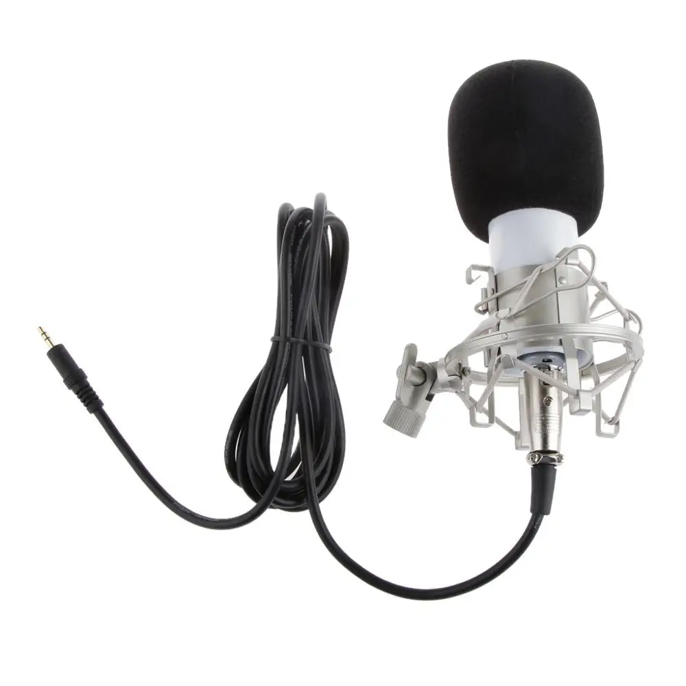 BM700 Professional Condenser Microphone Sound Recording Studio Broadcasting Dynamic Mic with Shock Mount Foam Windshield
BM700 Professional Condenser Microphone Sound Recording Studio Broadcasting Dynamic Mic with Shock Mount Foam Windshield