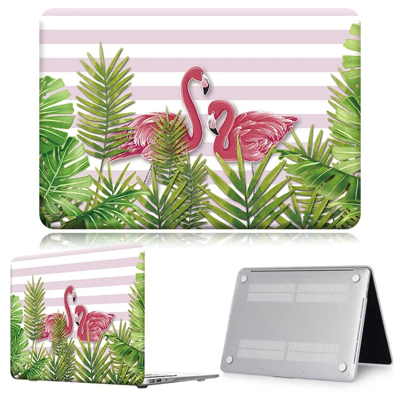Flamingo009