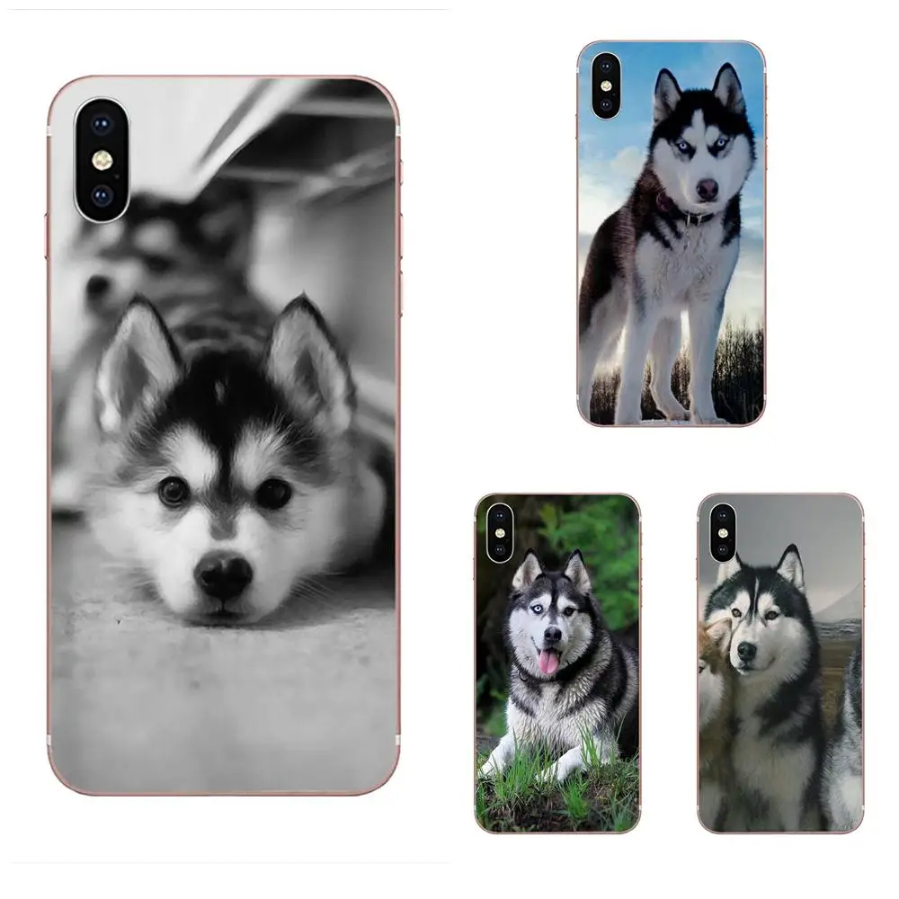 Soft Shell For Xiaomi Redmi Mi 4 7A 9T K20 CC9 CC9e Note 7 9 Y3 SE Pro Prime Go Play Wacky Husky
Soft Shell For Xiaomi Redmi Mi 4 7A 9T K20 CC9 CC9e Note 7 9 Y3 SE Pro Prime Go Play Wacky Husky