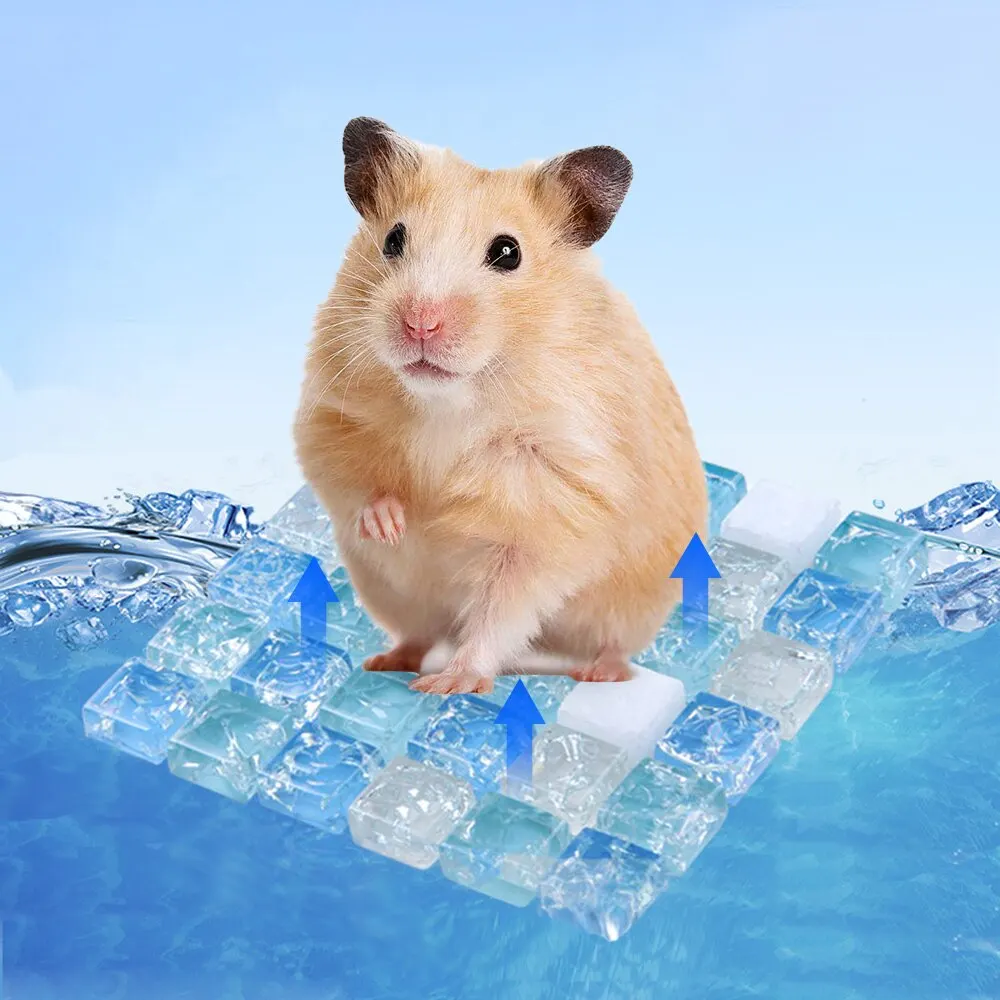 Hamster Cooling Mat Summer Crystal Bed Cooling Pad For Small Animals Small Pet Cooling Mat Pets
Hamster Cooling Mat Summer Crystal Bed Cooling Pad For Small Animals Small Pet Cooling Mat Pets