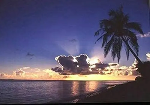 Sunrise Paradise - Tropical Beach Poster Metal Tin Sign 8x12 Inch Home Kitchen Bedroom Bar Sign Decoration Posters Tin Sign
Sunrise Paradise - Tropical Beach Poster Metal Tin Sign 8x12 Inch Home Kitchen Bedroom Bar Sign Decoration Posters Tin Sign