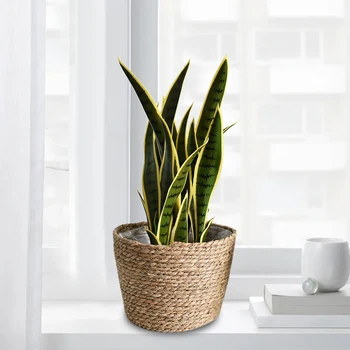 3pcs Leakproof Natural Gardening Seagrass Flower Pot Countertop Home Decor Plant Container Indoor Outdoor Rustic Planter Basket
3pcs Leakproof Natural Gardening Seagrass Flower Pot Countertop Home Decor Plant Container Indoor Outdoor Rustic Planter Basket