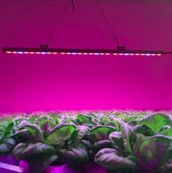 IP65 Waterproof 10pcs/lot 81W Led Grow Lamp Bar Lights For Indoor Hydroponic Greenhouse Plant Veg Growth Flower lighting
IP65 Waterproof 10pcs/lot 81W Led Grow Lamp Bar Lights For Indoor Hydroponic Greenhouse Plant Veg Growth Flower lighting
