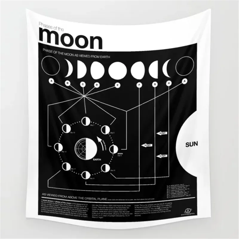 phases-of-the-moon-infographic-tapestries.webp
